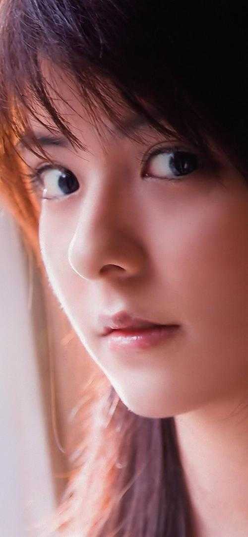 完结版小说安稳度日by朱炫朱元璋