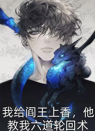乔念萧衡的小说海棠春未迎