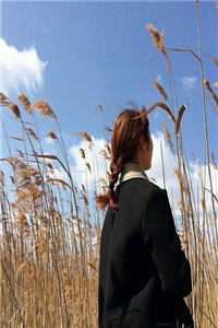 春节那晚，我被男友丢在车站周淼淼白婉如完结版小说