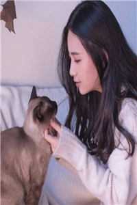 回归豪门后，背叛我的恶蠢前男友悔疯了程磊秦云歌