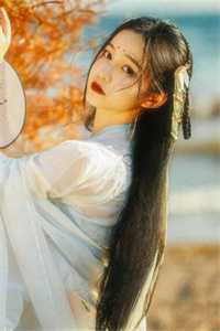 官路芳美人全局