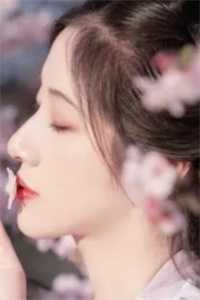 小说手撕冒充我身份的老绿茶后，我把公司上交国家张芳杨珍全章节免费阅读