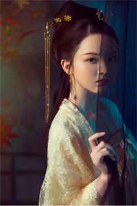 苏颜叶陵的小说妻子逃婚后，我下定决心选了她小说阅读