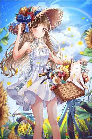 剧终散场畅读全文版