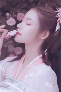 热门小说落日与晚风云千夏陆堇年
