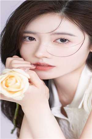 妻子逃婚后，我下定决心选了她热门小说苏颜叶陵