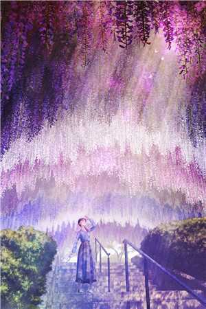 深情错付，梦断成空小说全文免费阅读安知夏蒲甘
