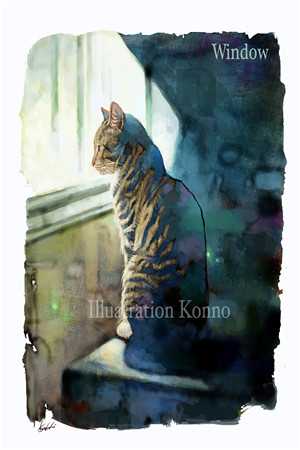 完结版小说猫猫魂穿德牧，被糙汉大佬宠野了云宝秦朔