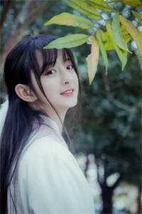 精选篇章过年回家,爸妈离婚我结婚