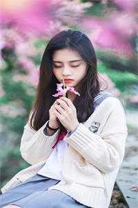 拨雪寻春，春已尽全本小说推荐