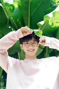 晚风吹人醒周宴廷夏莹全文免费