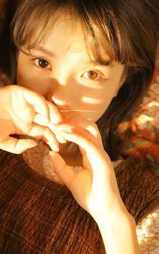 晚风吹人醒周宴廷夏莹小说