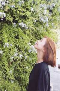 离婚后，高冷前妻求复合热门小说朱露莎唐晶