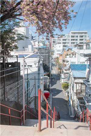 背叛柏拉图畅销书籍