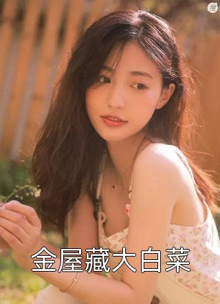 爱在余晖散尽前小说全文免费阅读林锦承安洛瑶