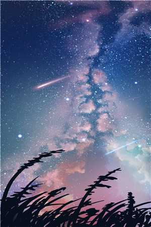 番外顾淮川秦菀爱恨终无，星碎梦落