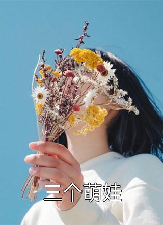 林晓薇苏安南的小说纵横四海阅读
