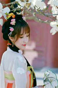 君慕华婉儿的小说似水流年阅读