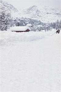 恰逢暮雪又白头江清雾季晏离小说