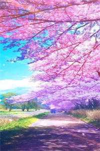 烟花易冷负流年高口碑
