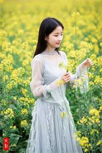 被未婚妻和家人抛弃后，我把自己上交国家了(裴烬明裴晏)