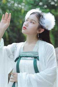 夏花再开后续