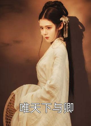 星星之火，可以燎原小说沐言夏澜