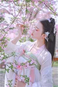 迈巴赫撞大众帕萨特，迈巴赫跪了帕萨特迈巴赫完结文