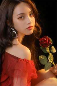 输掉婚房和彩礼后，我押了婚约和未婚妻的嫁妆继续薇薇马仔结局+番外