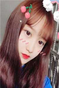 猫怨后续