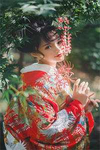 宋凛陆晚晚的小说将她还回人海小说阅读
