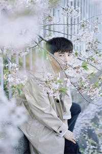 残雪春消，爱意东流小说沈柔婷傅辰逸
