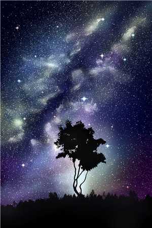 离开是很长的决定广告+结局