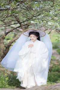 至此爱恨不相逢完本