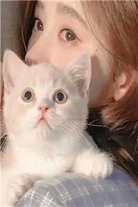 影后老婆变心后我假死脱离世界最新