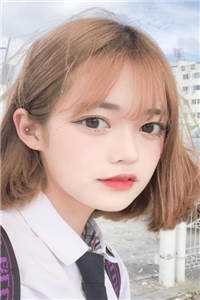 柳如烟陈平安写的小说青云直上九万里