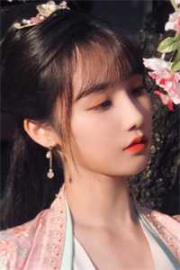 揉碎梨花完本