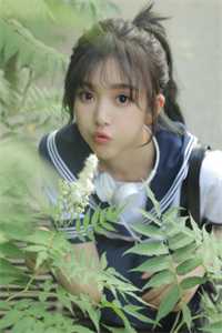 我们在时光里走散章节