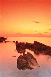 许你夕阳不落全文免费