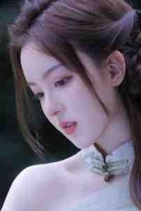 去岁星辰婉临川目录