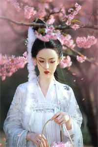 闺蜜同嫁后死遁，总裁们疯了全本
