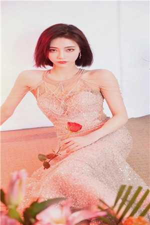 我死后，全家逼迫五岁女儿给白月光捐赠骨髓白月光宁宁全局