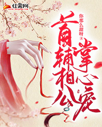 为白月光挖走我肾后，丈夫后悔了全篇