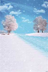 又是棠辞枝雪时傅淮安宋棠全章节免费阅读