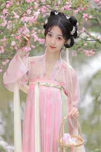 婉清前文+番外