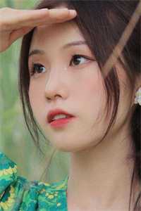 蔷薇花开完结txt