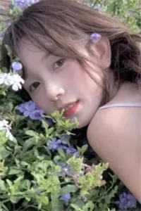 那年春下许相逢热门小说唐曲傅京晟