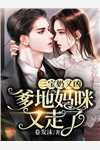 再无月光再无你新上热文