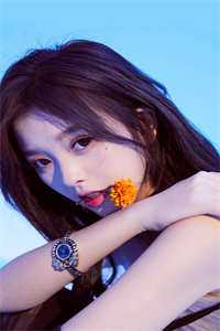 花谢花开岁月长后续+结局