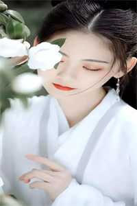 重生后，我在娱乐圈杀疯了在线看